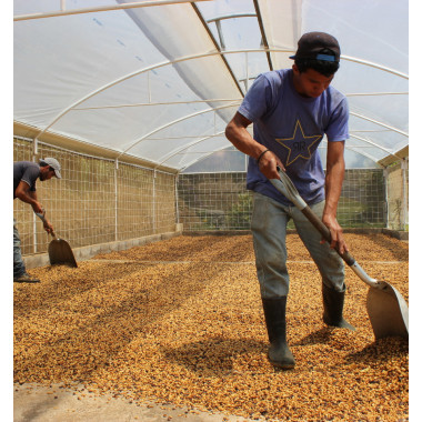 Costa Rica - Las Lajas (filtro) 2