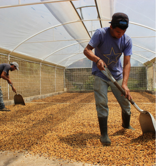 Costa Rica - Las Lajas (filtro)