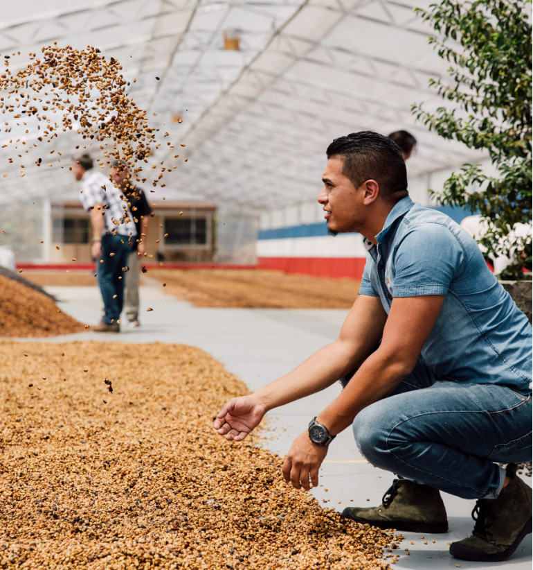 Costa Rica - Las Lajas (filtro)
