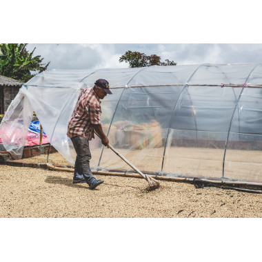 Colombia - Exótico 2