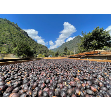 Guatemala - El Panal 2