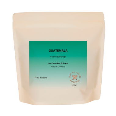 Guatemala - El Panal