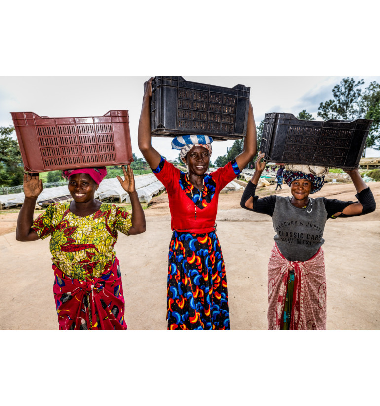 Uganda - Kuosha Crisp