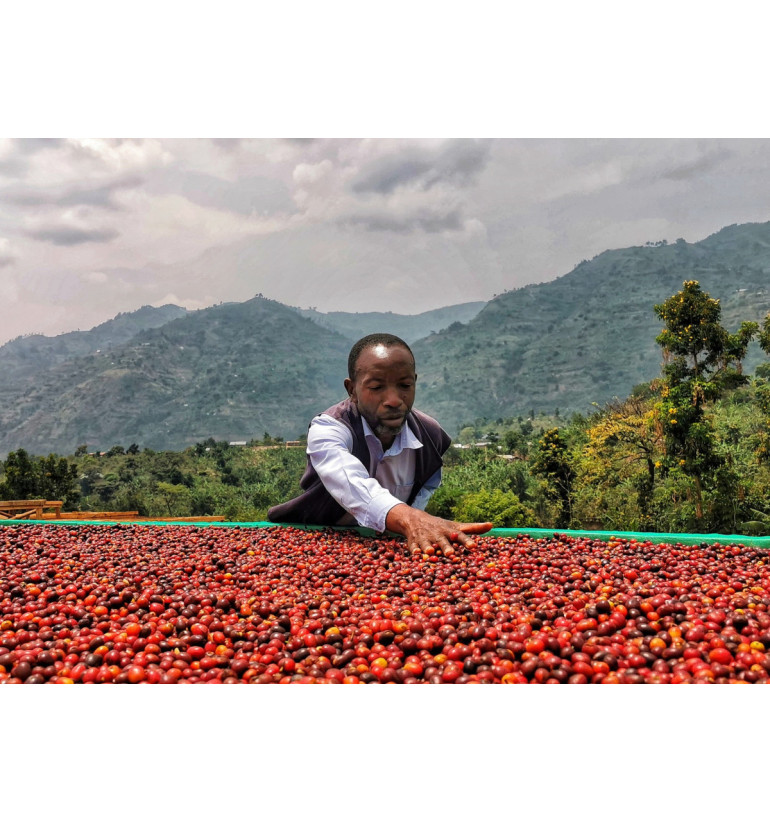 Uganda - Kuosha Crisp