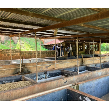 Kenya - Gakuyu-ini 2