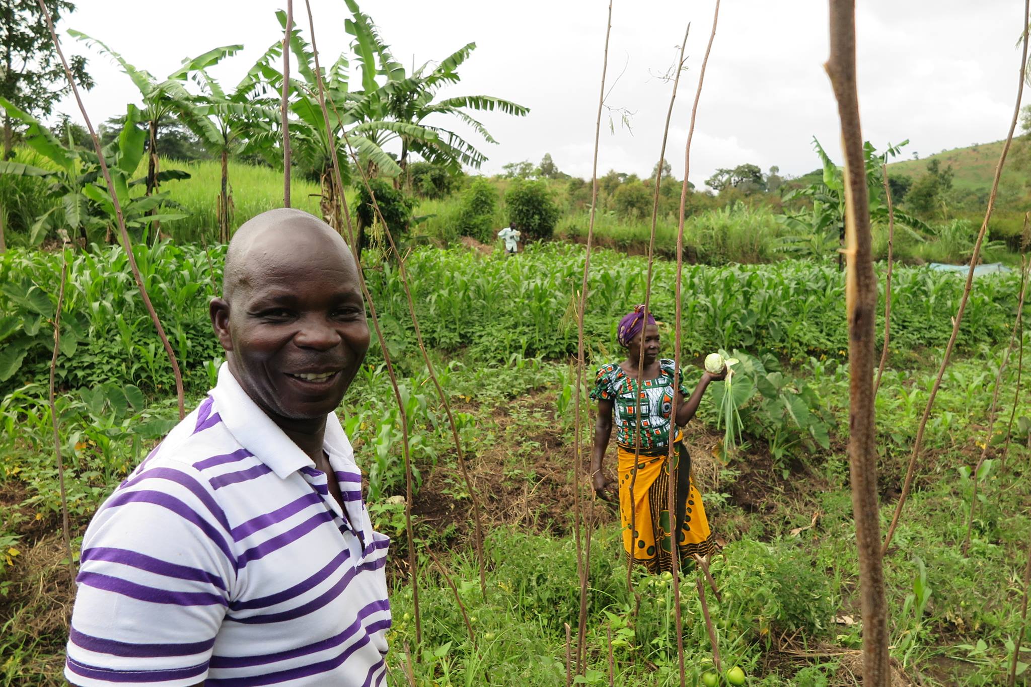 Uganda Zombo
